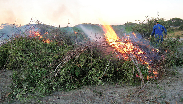 Quema de restos agrícolas