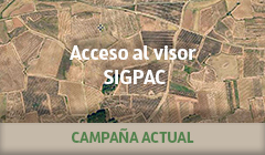 acceso_sigpac_2023_240 OK. Este enlace se abrirá en una ventana nueva