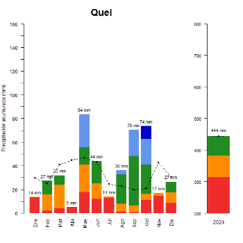 Quel-GraficoPrecipitacion_anual-2024