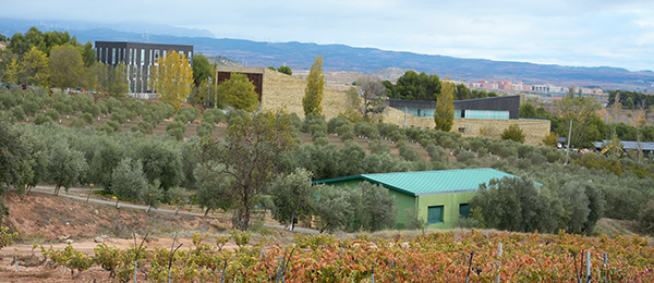 1 almazara experimental