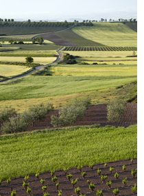 Paisaje agrícola de La Rioja