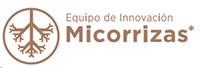 Micorrizas