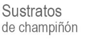 Sustratos de champiñón