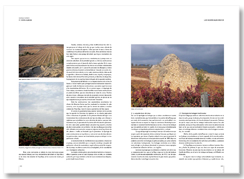 pagina 266 del libro La Rioja, sus viñas y su vino