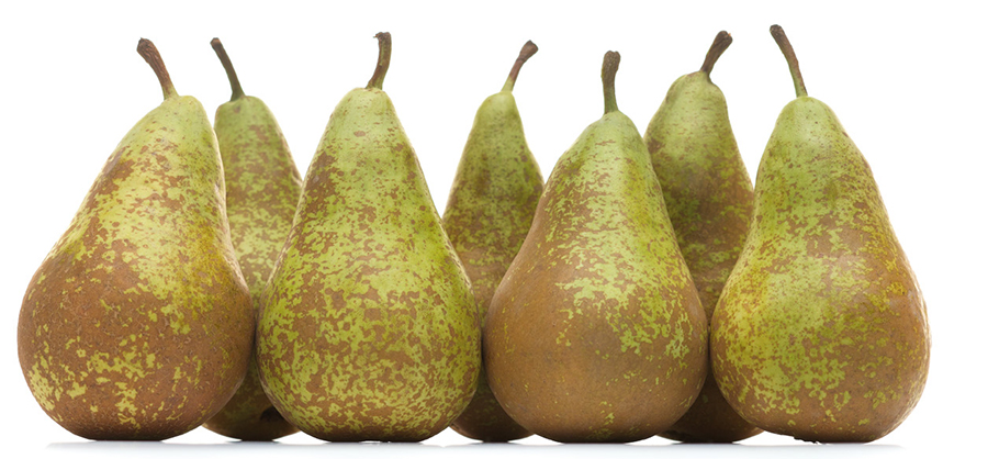 Peras Conferencia DOP