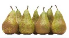 Pera Conferencia DOP Rincon de Soto