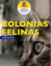 colonias felinas