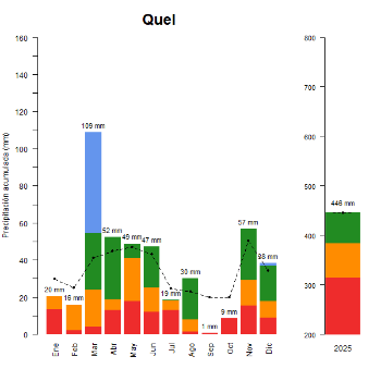 Quel-GraficoPrecipitacion_anual-2025