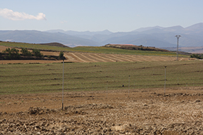 foto 14 ROTACIÓN DE CULTIVOS