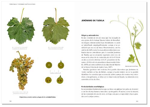 Libro variedades_interior