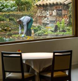 Gourmet Echapresto 2