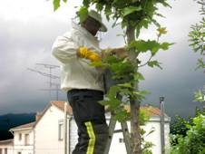 Equipo para apicultura