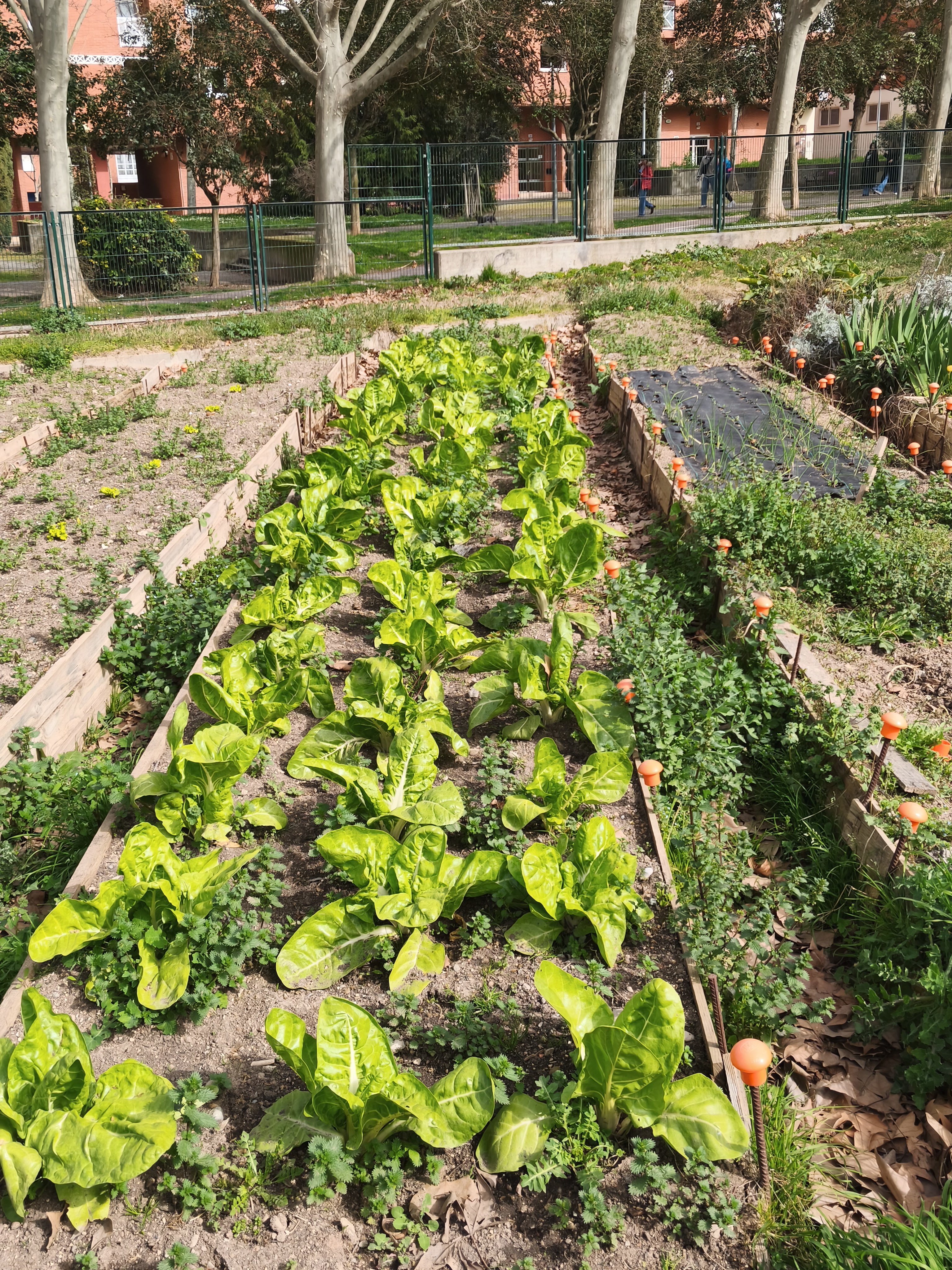 huerta