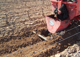 Aplicación agricola