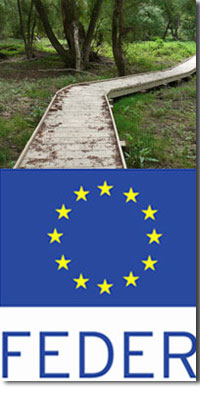 imagen_portada_feder