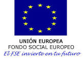 logo fse