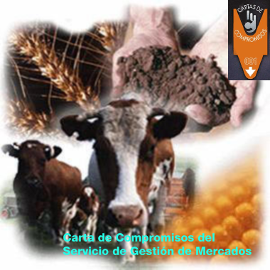 gestión mercados portada