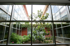 CS siete infantes compromisos