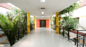 CS joaquín elizalde direcciones