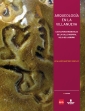 Arqueología en la Villanueva (85x111)