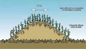 mantenimiento tierra vegetal