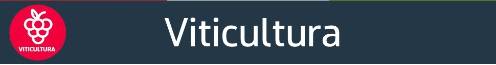 Viticultura