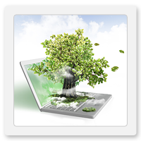 Marcas o nombre comercial (signos distintivos)