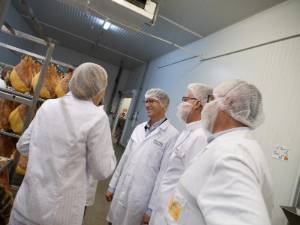 2025_11_04_Subvenciones