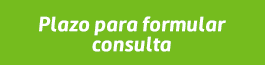 plazo-para-formular-consulta