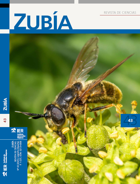 zubia43_portada