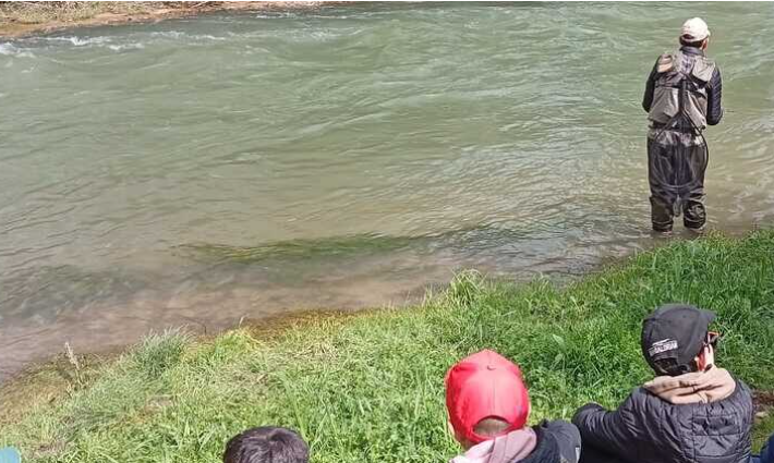 CotoIntensivoanguciana