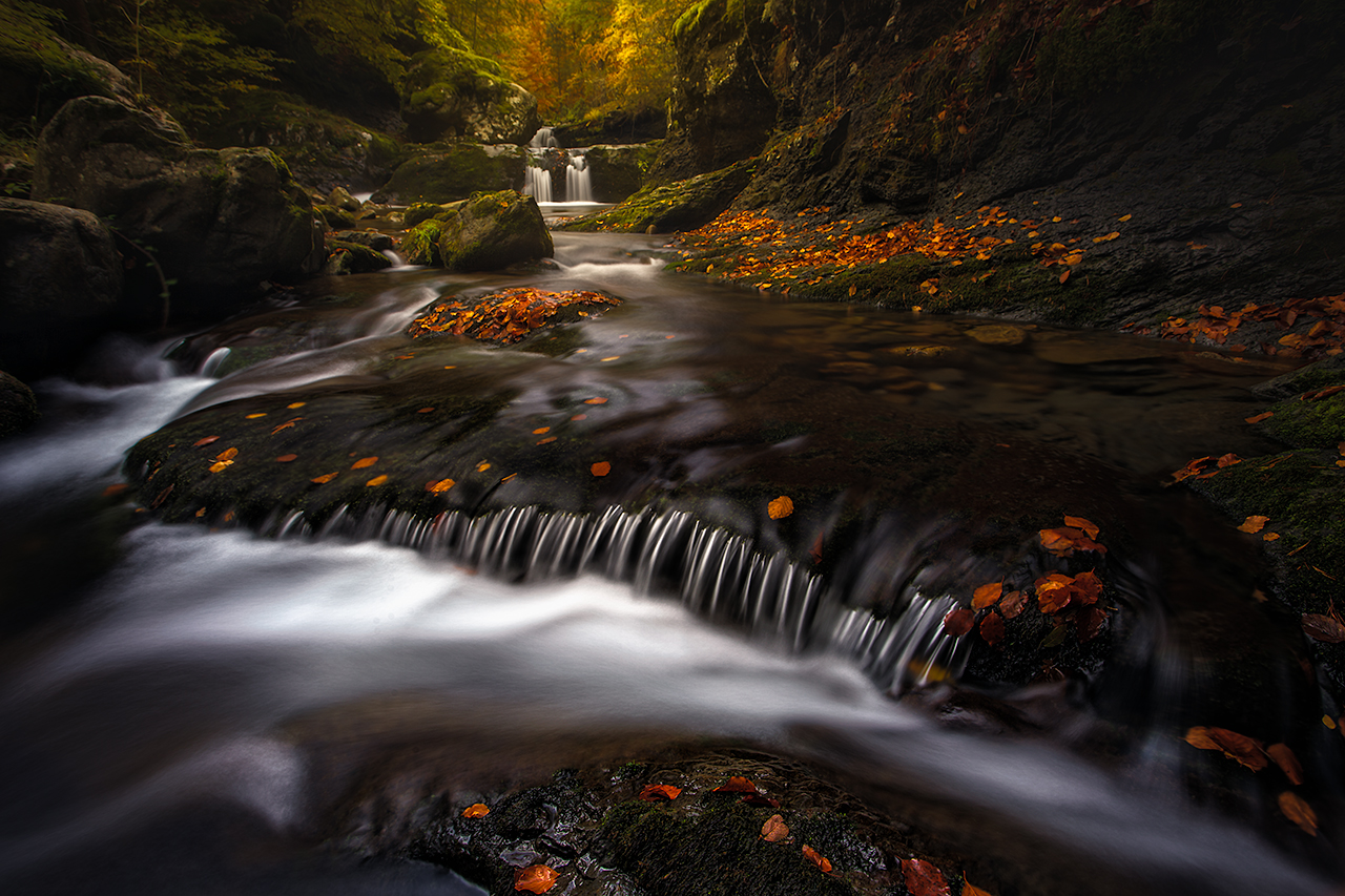 Primer premio SERGIO GONZALEZ SIERRA momentos magicos