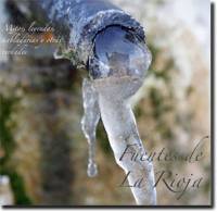 portada_librofuentessombra