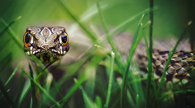 Tercer Premio Álvaro Fernández Pérez