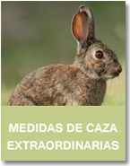 BANNER_MEDIDADSDECAZAEXTRAORDINARIAS2 copia