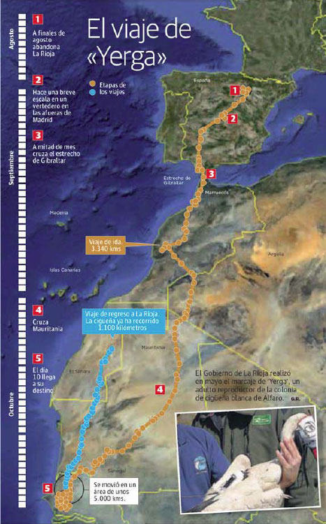 viaje de cigüeña Yerga