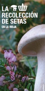 Folleto de setas
