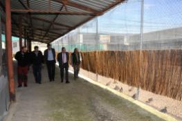 Cria de perdices en El Espinar