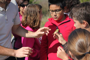 día de las Aves en la laguna de Hervías
