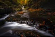 Primer premio SERGIO GONZALEZ SIERRA momentos magicos