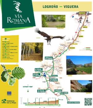 via romana etapa Logroño Viguera