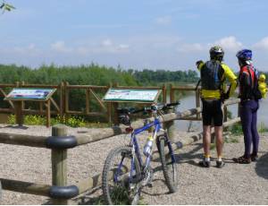 reserva natural de los sotos de Alfaro