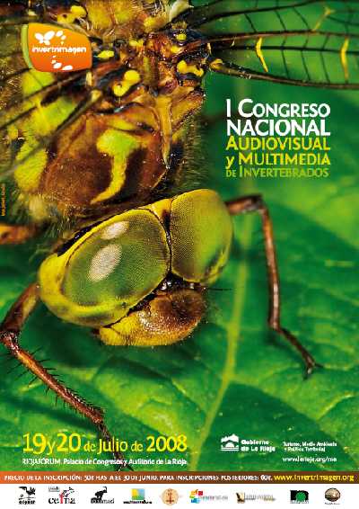 portada invertrimagen