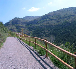 paseo por la naturaleza