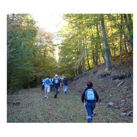 Marcha guiada por Cebollera