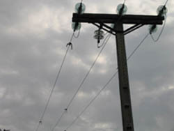 tendidos eléctricos