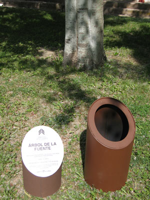 señales de árboles singulares