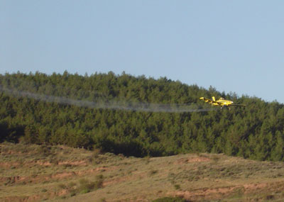 tratamiento procesionaria en la rioja