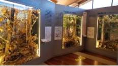 centroInterpretacionVilloslada