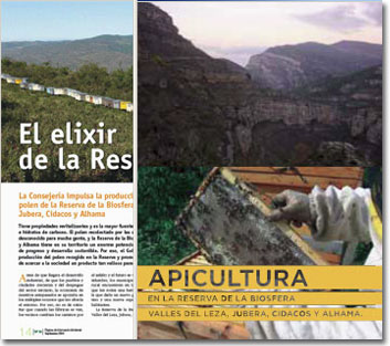 Publicaciones relacionadas con la apicultura en la Reserva de la Biosfera - Medio ambiente - Official Portal of Government of La Rioja